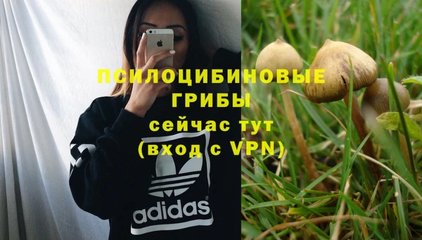 дурь Заволжье