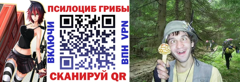 Псилоцибиновые грибы мицелий  Ковров 